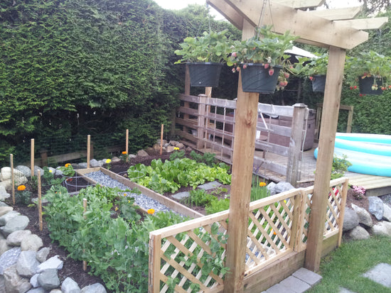 best Planting