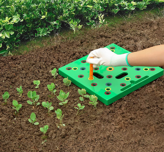 how to seeding-square Planting