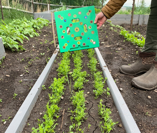 seeding square Planting Template  for Maximum Harvest