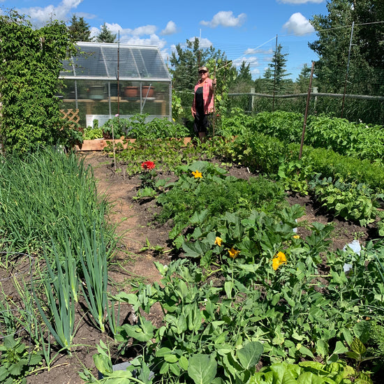 Planting  Maximum Harvest