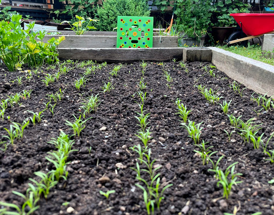 best seeding square Planting