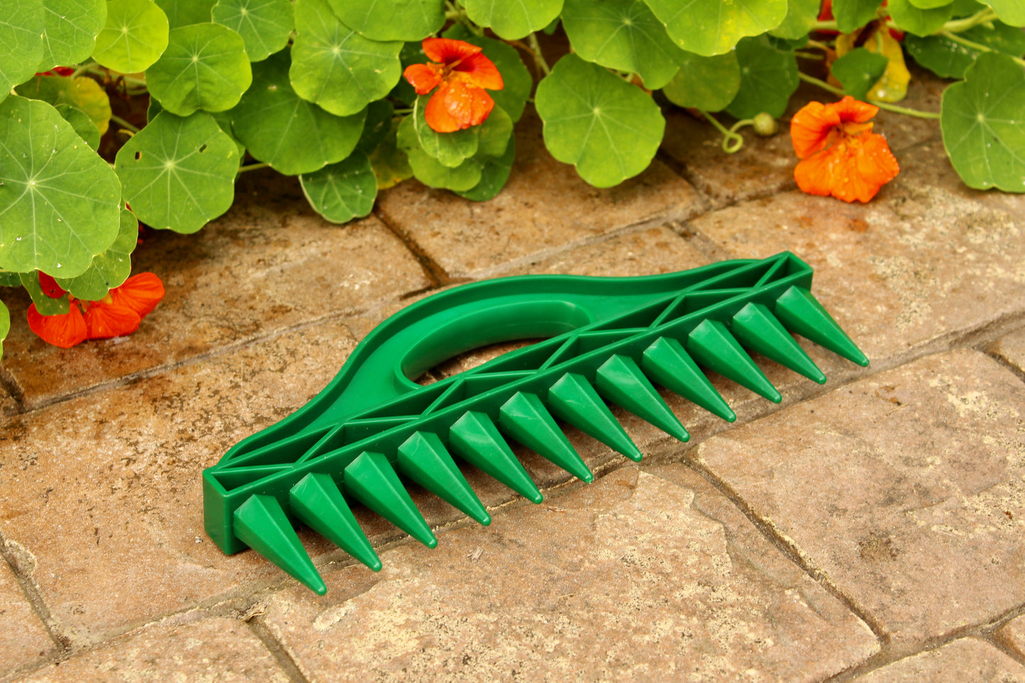 The Row Seeder – for Precise Seed & Seedling Spacing in Rows & Seed Trays