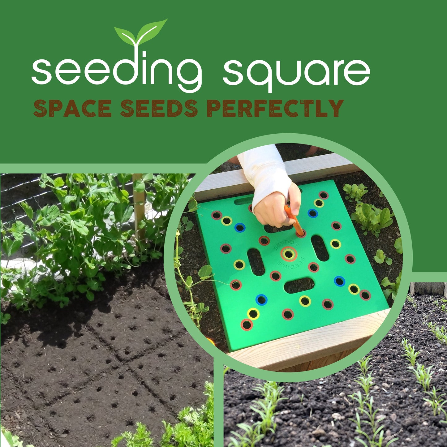 3 Seeding Squares