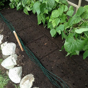 seeding-square Planting