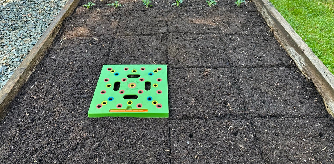 Square Foot Gardening Made Easy: How Seeding Square Templates Boost Your Harvest