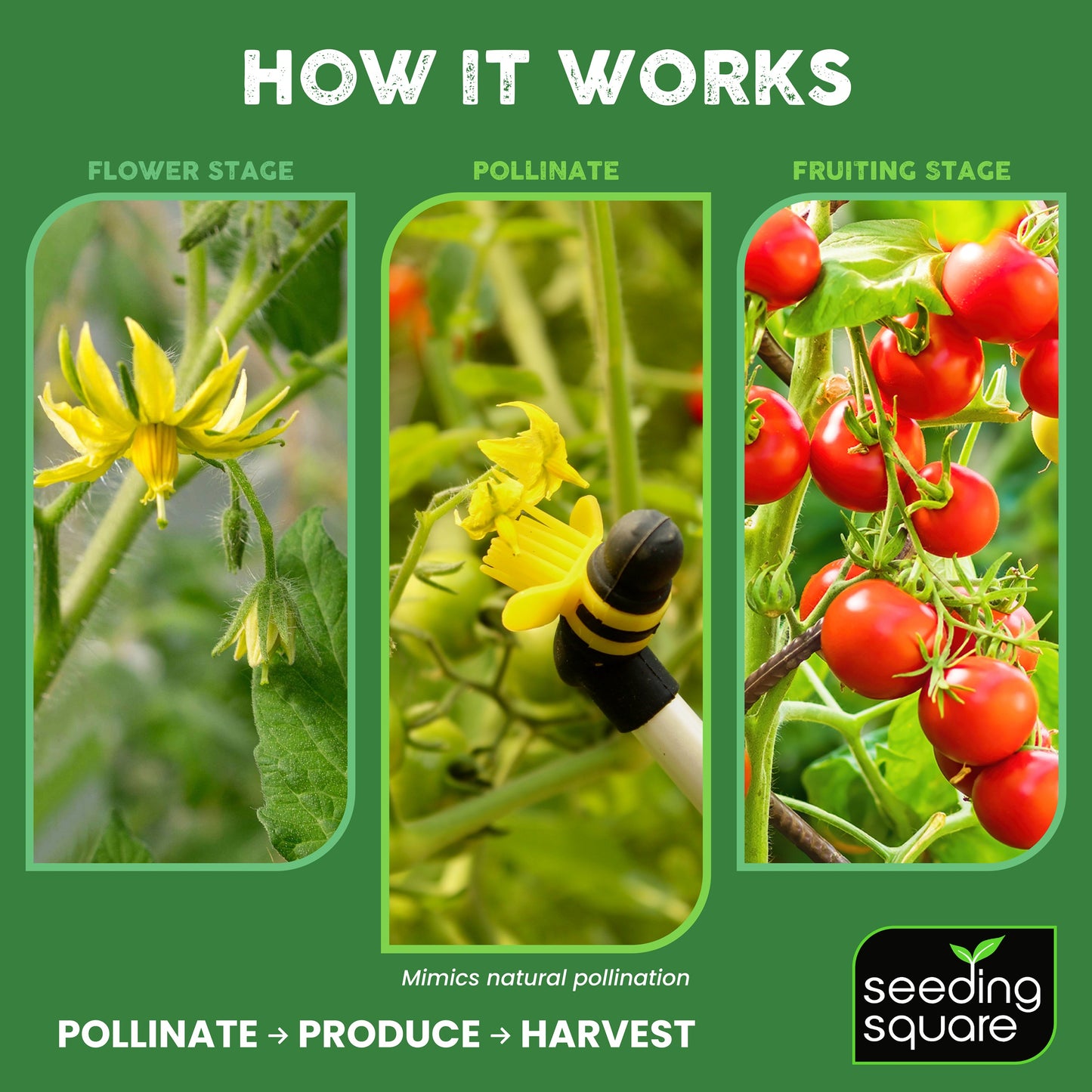 Handheld Pollinator Tool for Vegetable Gardening by Seeding Square