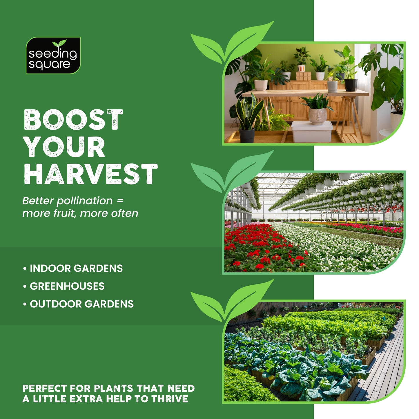 Handheld Pollinator Tool for Vegetable Gardening by Seeding Square
