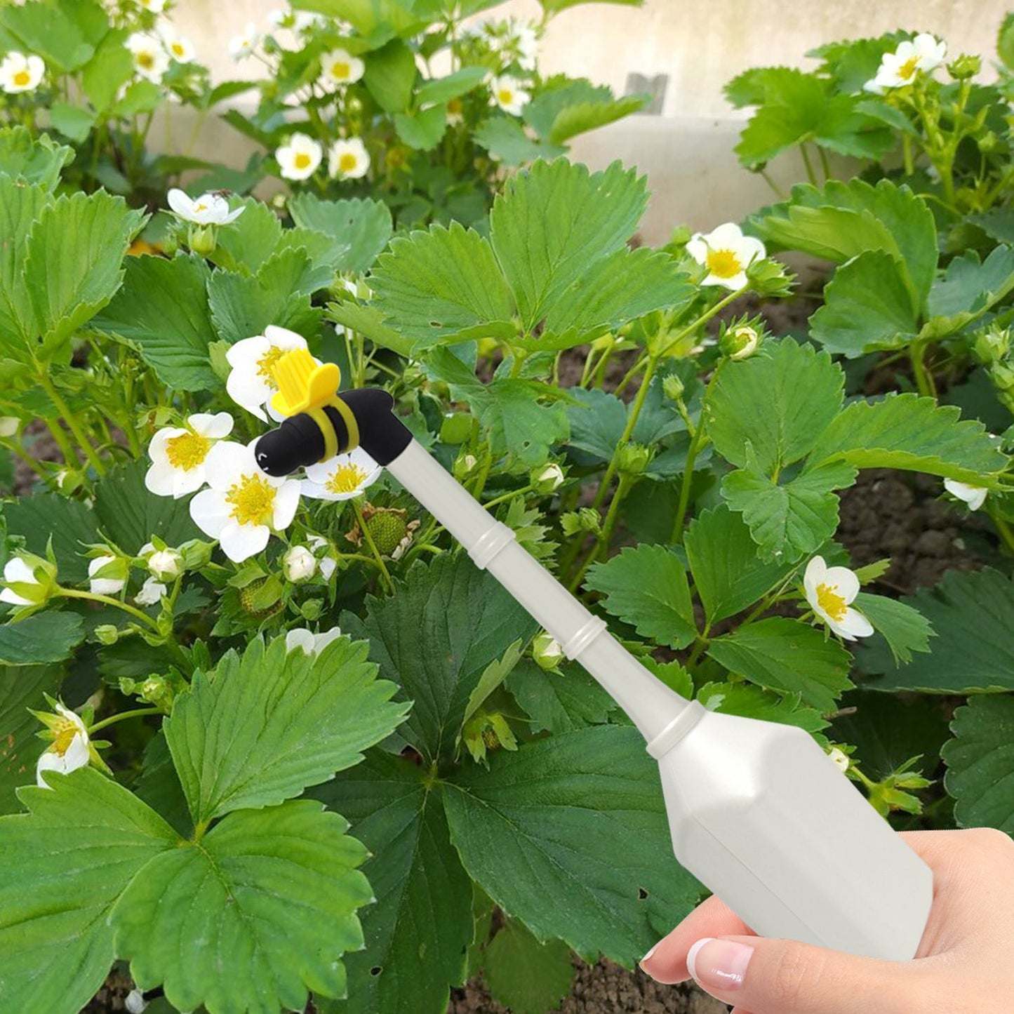 Handheld Pollinator Tool for Vegetable Gardening by Seeding Square