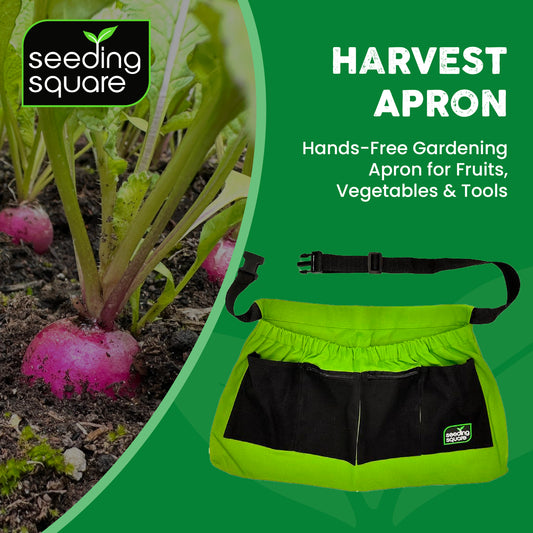 The Garden Harvest Apron by Seeding Square