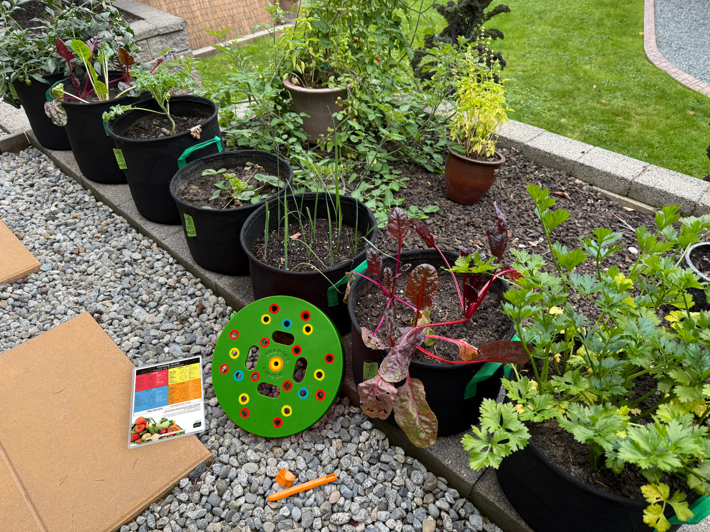 Seeding Circle - Color-Coded Seed Spacing Template for Planting Vegetable Gardens