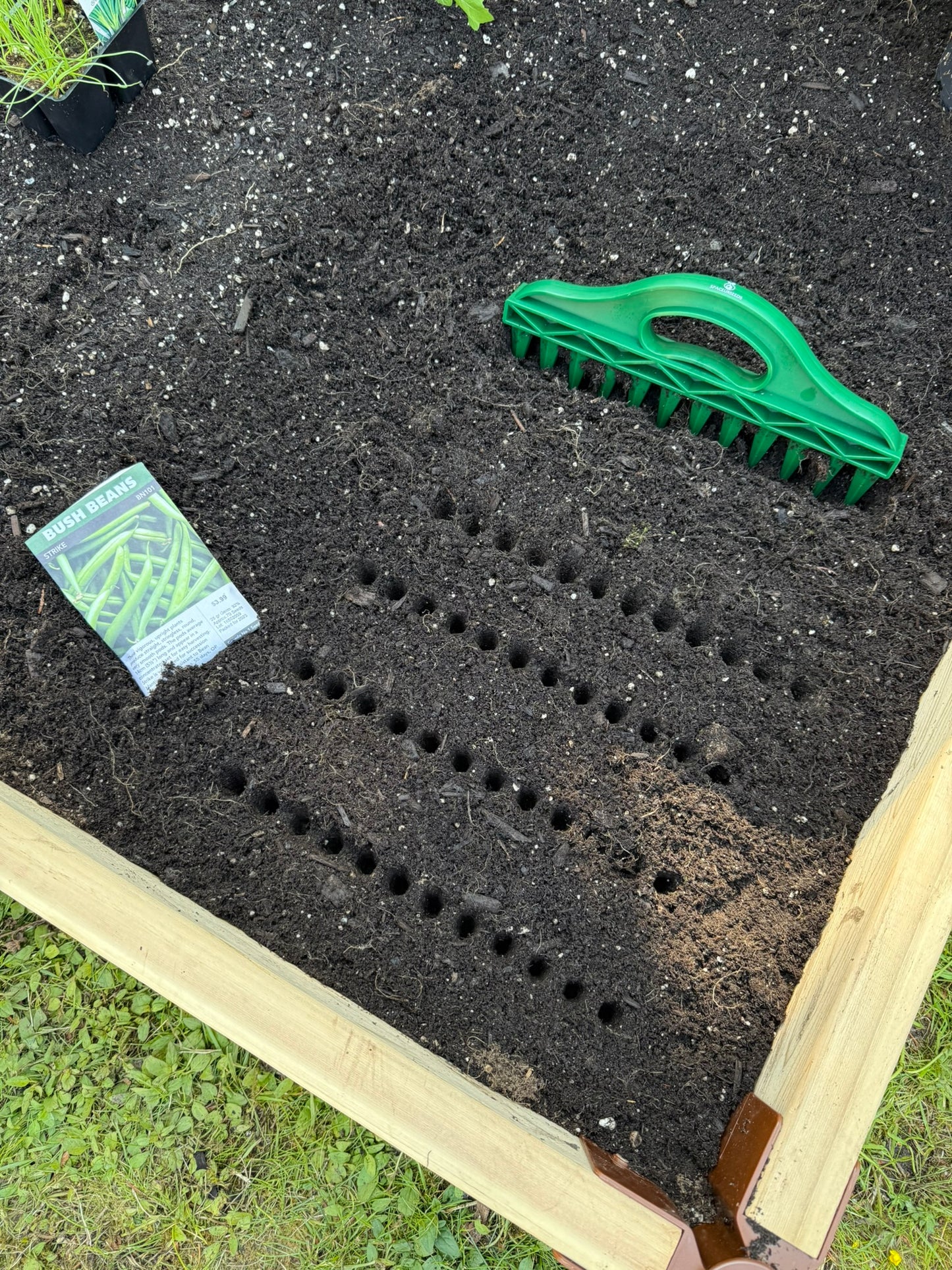 The Row Seeder – for Precise Seed & Seedling Spacing in Rows & Seed Trays