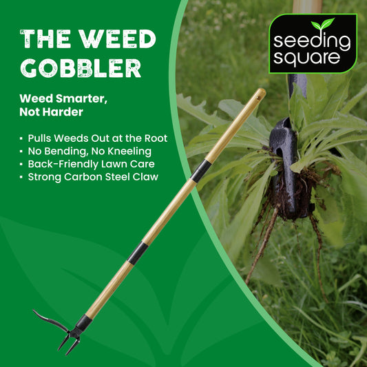 The Weed Gobbler - Carbon Steal & Bamboo Stand-Up Weed Puller Tool for Dandelions and Single-Root Weeds