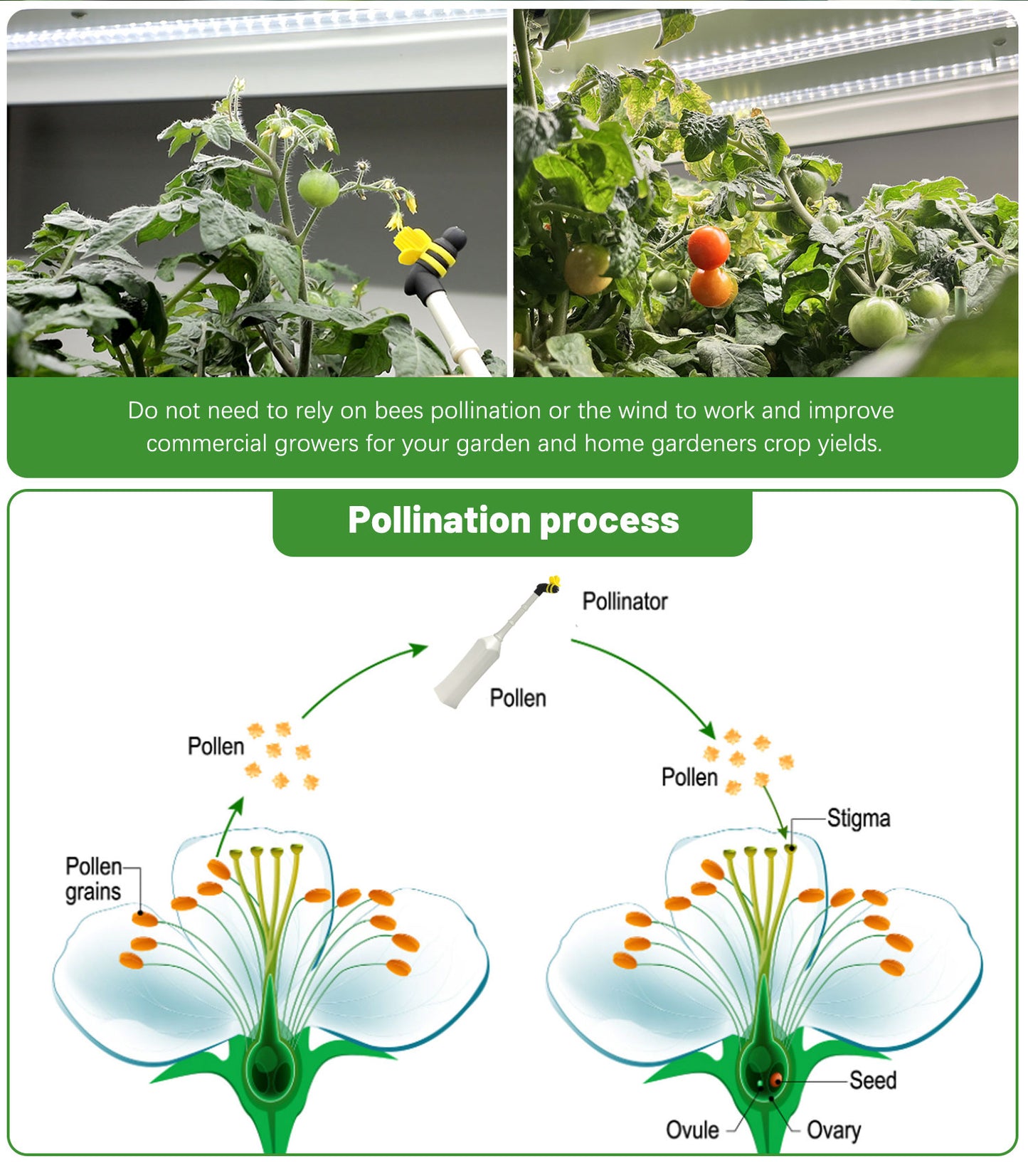 Handheld Pollinator Tool for Vegetable Gardening by Seeding Square