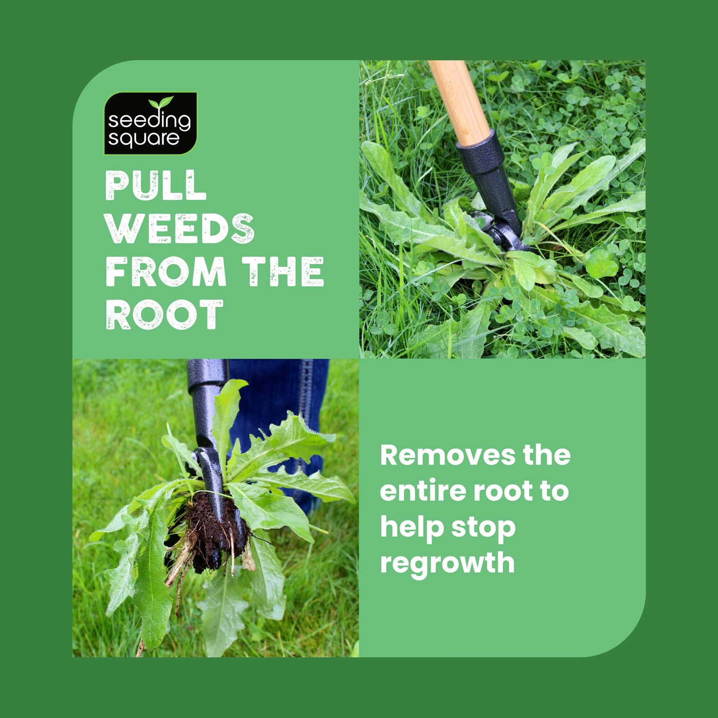 The Weed Gobbler - Carbon Steal & Bamboo Stand-Up Weed Puller Tool for Dandelions and Single-Root Weeds