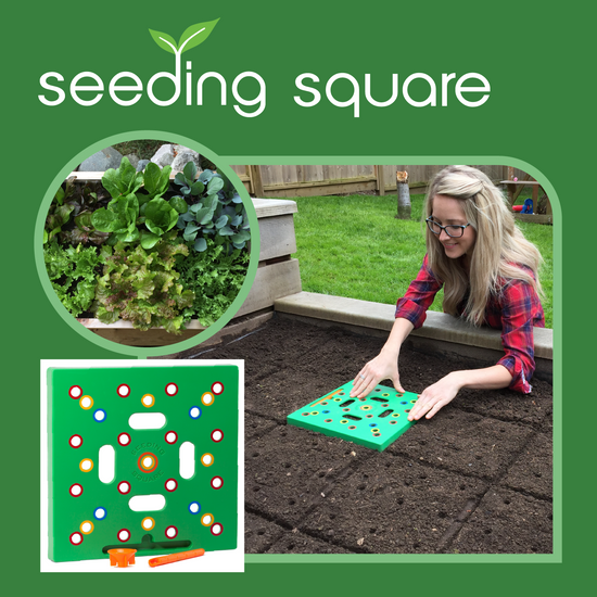 seeding-square Planting Template infographic
