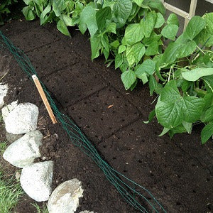 seeding-square Planting 